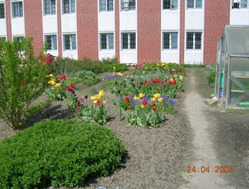 Freistundenhof Freistundenhof